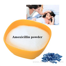 Buy online CAS26787-78-0 active Amoxicillin powder for human